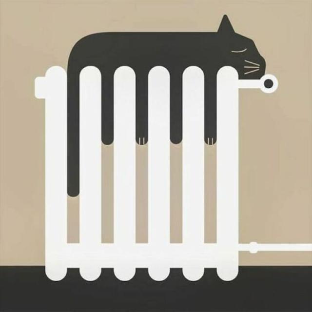 cat on a radiator