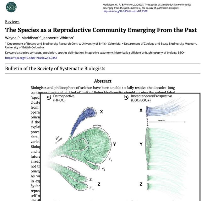 Picture of first page of manuscript and a figure showing reproductive communities through time.
