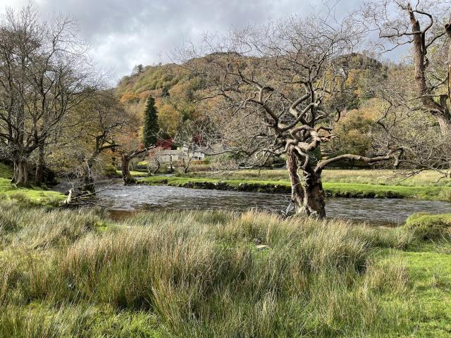 Naked, winding trees on the bank of a winding river, surrounded by lush, green grass. In the distance, a grey stone mansion amidst red trees, on the approach of a fell covered in green and orange foliage. 