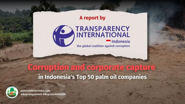 May 2023 report by @transparency@eupolicy.social finds #Indonesian #palmoil industry is susceptible to #corruption and murky corporate, government, #financial links. Don’t trust palm oil, instead #Boycottpalmoil #Boycott4Wildlife https://palmoildetectives.com/2023/05/14/transparency-international-report-corruption-and-corporate-capture-in-indonesias-top-50-palm-oil-companies/ via @palmoildetectives 

