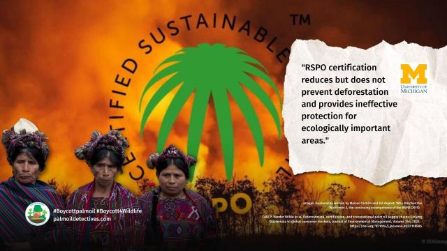 University of Michigan #research finds “sustainable” #RSPO #palmoil sourced in #Guatemala is NOT sustainable, yet it is sold to consumers as such, despite links to #deforestation. Fight back with your wallet #Boycottpalmoil #Boycottpalmoil https://palmoildetectives.com/2023/07/26/palm-oil-deforestation-in-guatemala-certifying-products-as-sustainable-is-no-panacea-university-of-michigan/ via @palmoildetectives 