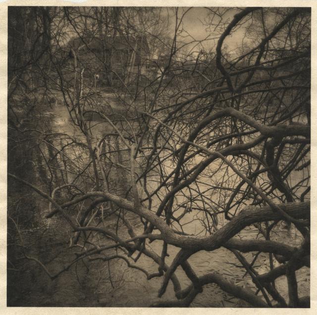 Photograph taken through foreground branches along the bank of the Saugus River. A house sits mostly obscured by branches in the upper left. This is printed on gampi paper with gold leaf underlayed, which gives it an overall warm tone.