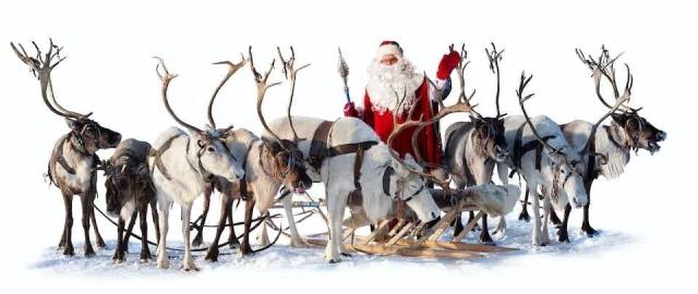 Santa stands in front of reindeer.