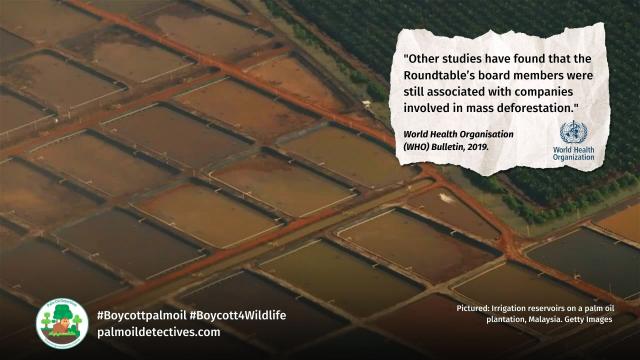 @WHO Bulletin: “The palm oil industry entails large-scale #deforestation, incl. loss of up to 50% of trees, endangering species; increased CO2 emissions and #pollution” #Boycottpalmoil #Boycott4Wildlife https://palmoildetectives.com/2022/08/08/palm-oil-industry-lobbying-and-greenwashing-is-like-big-tobacco-world-health-organisation-who-bulletin/ via @palmoildetectives 
