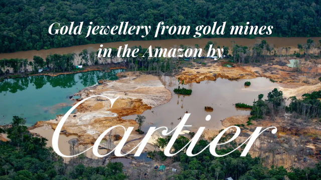 Behind the insatiable appetite for #gold is a dark secret of money laundering, illegal #mining, environmental damage and human misery. #BoycottGold4Yanomami https://palmoildetectives.com/2021/12/07/here-are-13-reasons-why-you-should-boycottgold4yanomami/ via @palmoildetectives