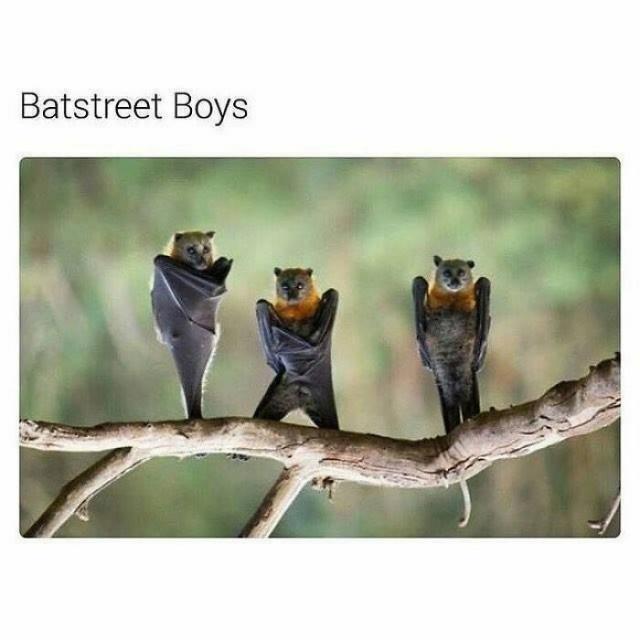 bat street boys