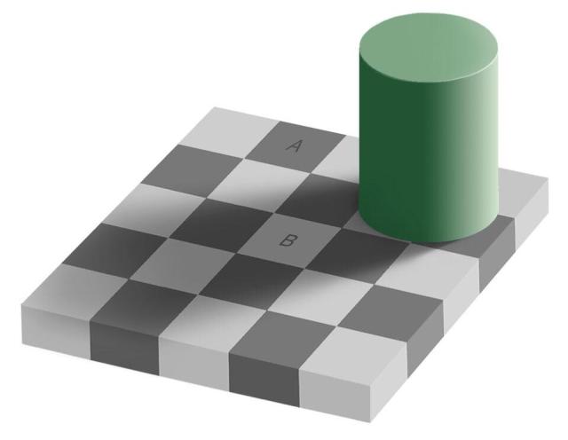 A checkerboard is shown with squares colored light and dark grey. A green tube sits on the board and casts a shadow. The image has a letter A typed on a dark square, and a letter B types on a light square cast in shadow. The question is asked if the two squares, A and B, are really the same color.