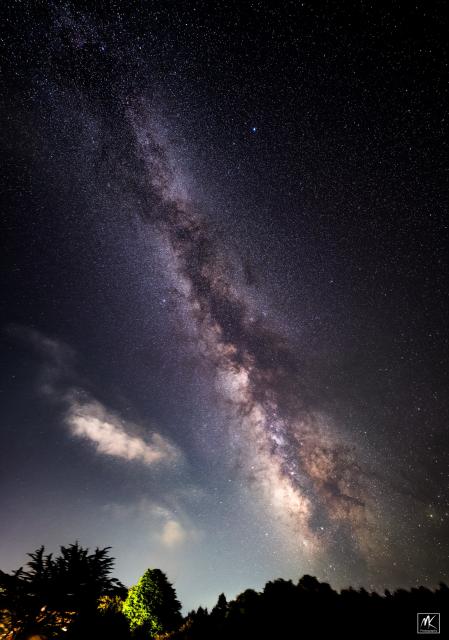 Long exposure nightime color photo of the Milky Way angled nearly vertical to the horizon, with thousands and thousands of stars and dark interstellar dust clouds. To the left of the Milky Way are a couple of small clouds lit by distant town lights.  At the bottom of the image are the tops of trees.