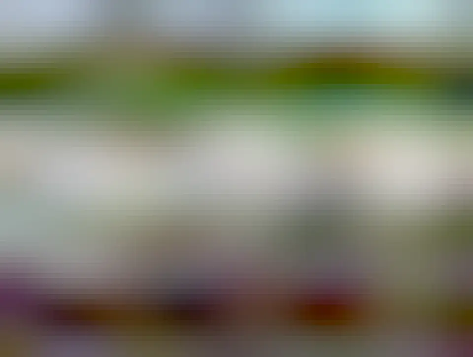 Sheep lined up at a trough. 