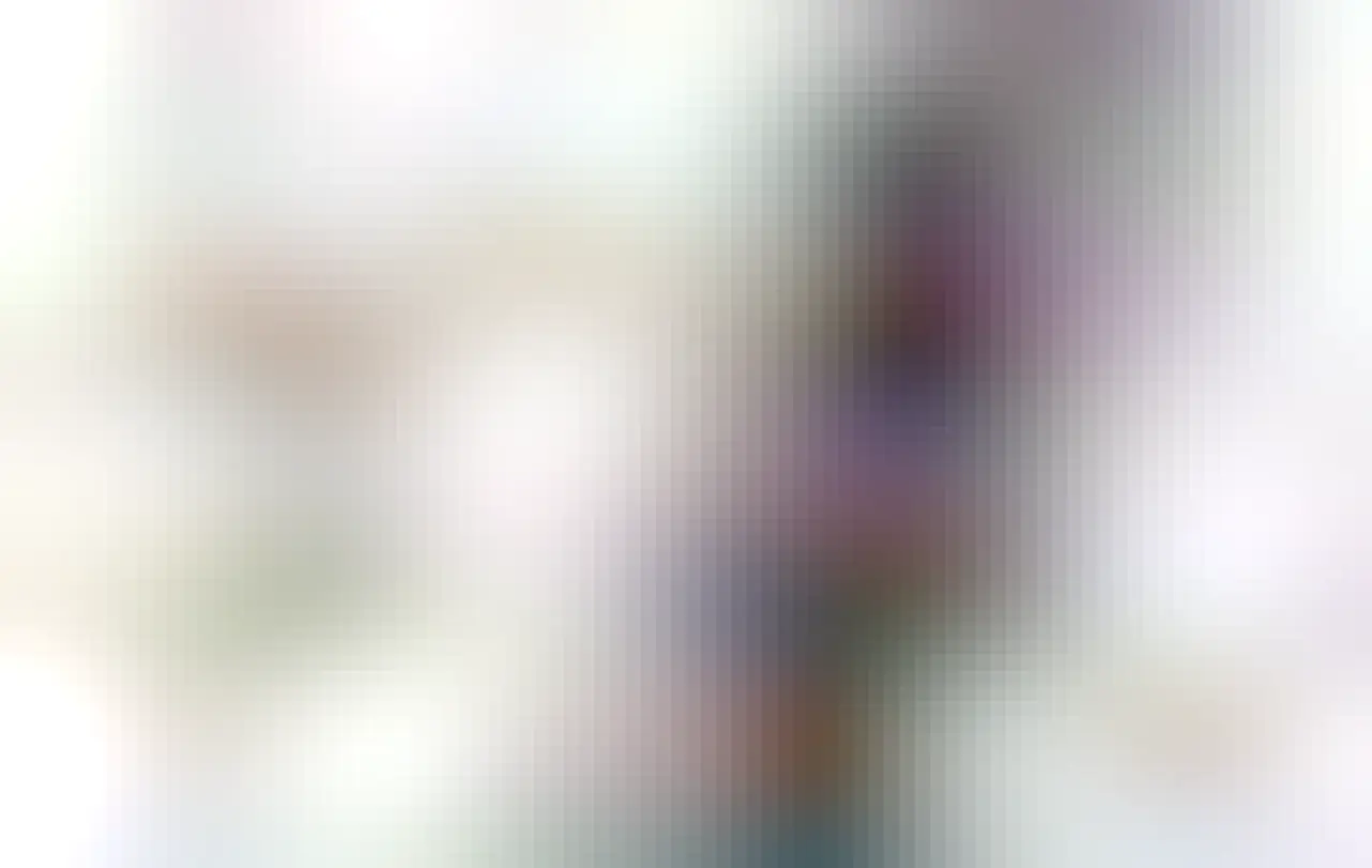 A graphic showing the new neocats in the pack, such as a thief, nomming blobhaj and many more.