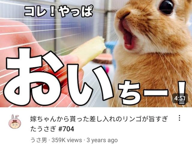a thumbnail of a japanese rabbit video. the rabbit in the thumbnail has a wide open mouth and eyes, reminiscent of the fake "shocked" faces many youtube personalities put on in their thumbnails to attract clicks.