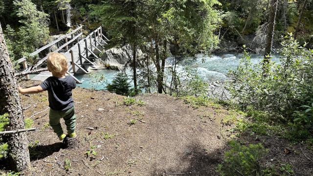 A toddler learns up against a tree and looks back at the bridge he just crossed, which spans the blue-green waters of a rushing mountain river.