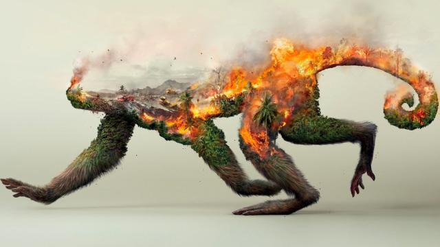Pictorial representation of a monkey with a forest on fire imposed over him. 

Good #News: Dimensional launches #investment fund excluding #fossilfuels #palmoil #tobacco firms and those engaged in controversial practices like #factoryfarming and #childlabor https://www.funds-europe.com/news/dimensional-launches-new-sustainability-focused-investment-fund
If you live in the EU consider moving your money to this fund #Boycottpalmoil #finance #wealth 