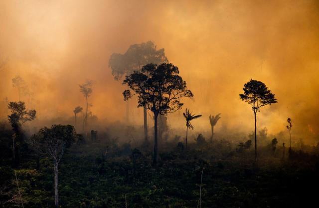 destroyed rainforest 

#News: So-called 'net zero' flight using #palmoil #biofuel labelled as blatant #greenwashing as it comes from destroyed rainforest https://www.opendemocracy.net/en/virgin-atlantic-world-first-transatlantic-net-zero-flight-saf-sustainable-aviation-fuel-cop28/