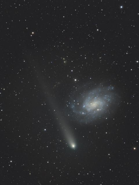 "Comet C/2020 V2 (ZTF) and the Southern Pinwheel Galaxy."

Ma Ma Creek Astro, CC BY 2.0 via Flickr: https://flic.kr/p/2p9LHww