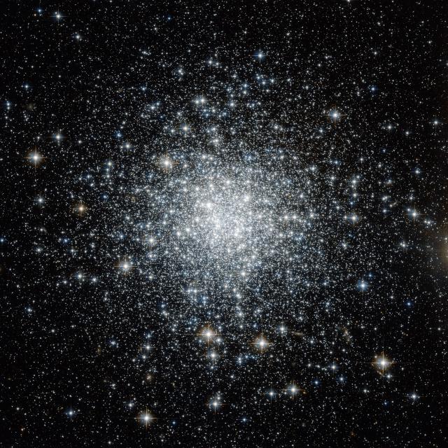 Caldwell 47 Globular Cluster.

NASA Hubble, CC BY 2.0, via Wikimedia Commons.