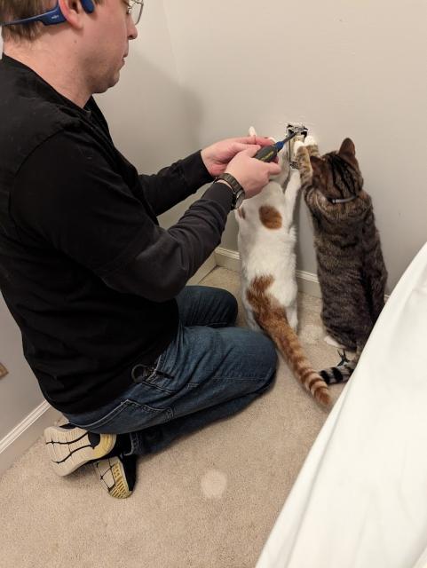 Erik changing a power outlet, with two cats, Myshko and Zhanna, pawing the outlet as it goes into the wall.