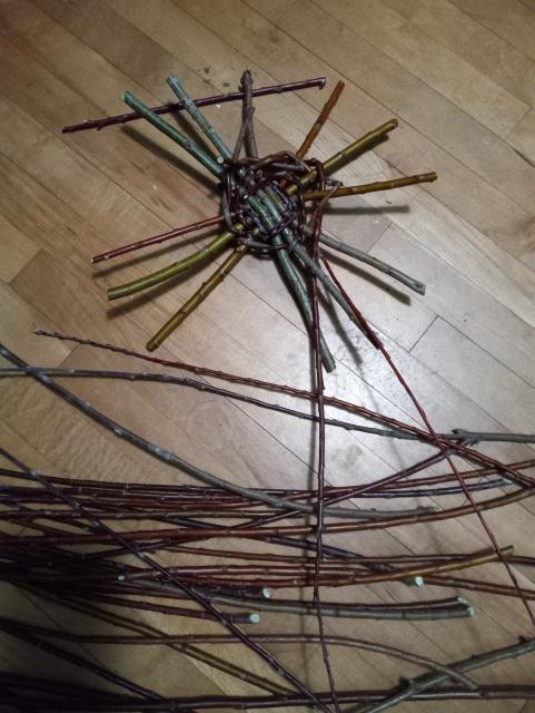 A rather messy start to the bottom of a round basket.  Looks sort of like a partially finished spiderweb built by a drunk spider.  It's sitting on a hardwood floor with a bunch of willow branches scattered nearby.