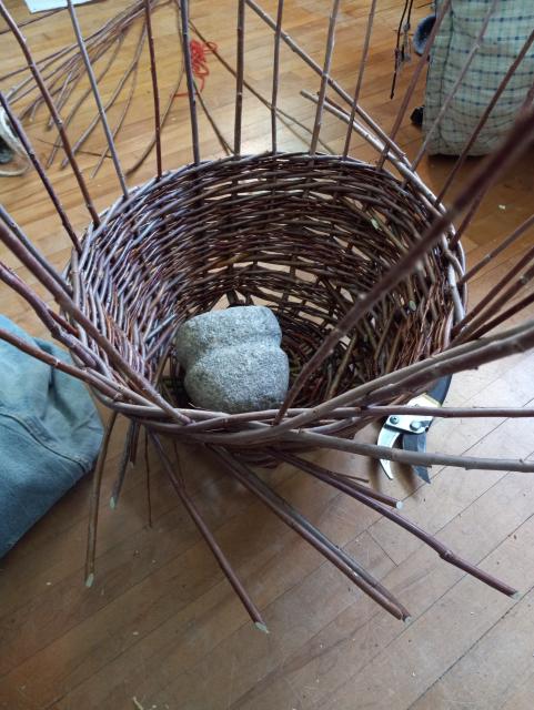 A partially completed woven basket.  There's a rock sitting in the centre for weight while working on it, and clippers on the ground next to it.  All the "ribs" are sticking straight up into the air, need to figure out how to weave those next.