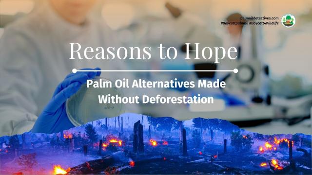 #News: A process to produce an alternative to #palmoil for food, developed by scientists at Nanyang Technological University will be scaled up for commercial production through a partnership with company Eves Energy #ReasonToHope #Boycottpalmoil https://www.chemengonline.com/alternative-to-palm-oil/