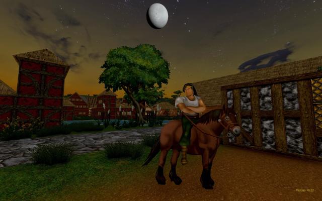 Daggerfall Unity 1.0 with the DREAM mod