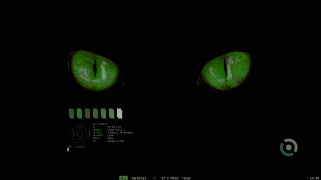 desktop sreenshot with ufetch and a wallpaper containing cat eyes and the void logo