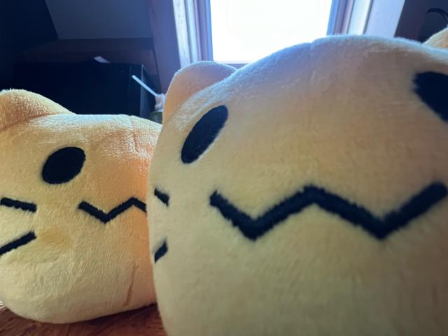 2 blob cat plushies very close to the camera