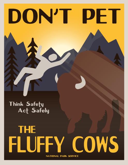 A US National Park Service promotional image showing someone being hit by a charging buffalo, with the caption “Don’t Pet The Fluffy Cows”.