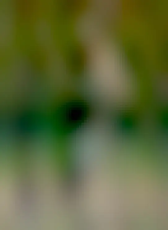 As described. I still /love/ the expression of the almost vertical bun, who's maybe thinking that didn't quite go as planned.