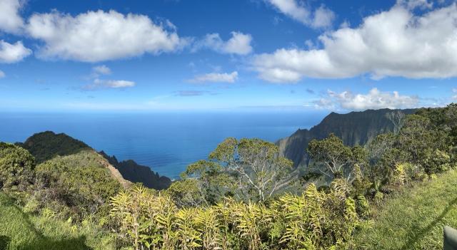 A view from Kauai. Greens and blues. Photo: Sheril Kirshenbaum