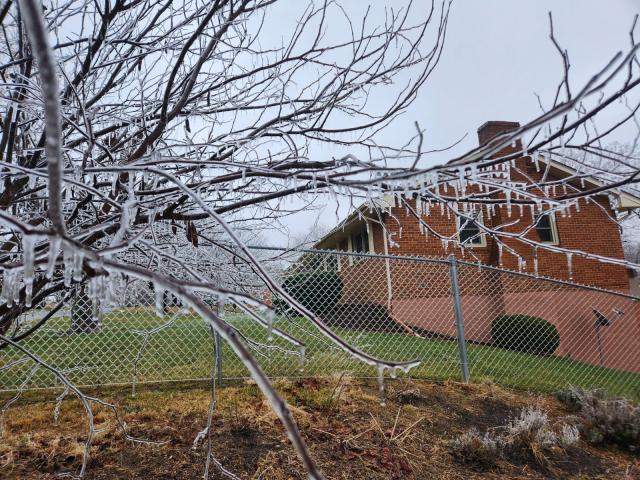 Closeup of a branch covered with ice and icicles