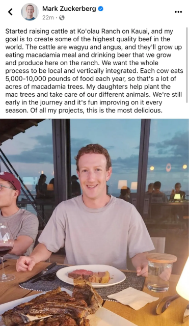 Facebook post by Mark Zuckerberg:

Started raising cattle at Ko'olau Ranch on Kauai, and my goal is to create some of the highest quality beef in the world. The cattle are wagyu and angus, and they'll grow up eating macadamia meal and drinking beer that we grow and produce here on the ranch. We want the whole process to be local and vertically integrated. Each cow eats 5,000-10,000 pounds of food each year, so that's a lot of acres of macadamia trees. My daughters help plant the mac trees and take care of our different animals. We're still early in the journey and it's fun improving on it every season. Of all my projects, this is the most delicious.