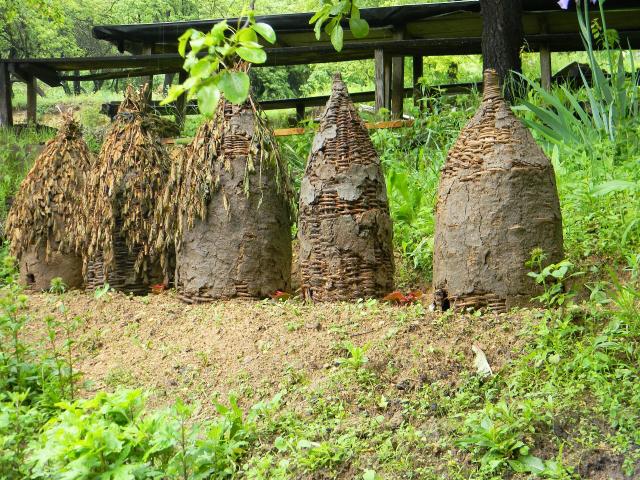"Beehives old style, Serbia." Laslovarga, CC BY-SA 3.0, via Wikimedia Commons.