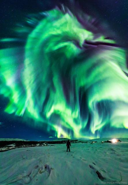 A person stands on snow and looks up at a starry sky. In the sky is a large green aurora that resembles a dragon.