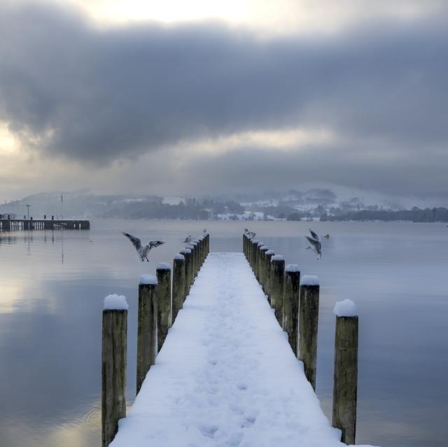 Two gulls are capture mid flight as they are coming into land on a snow covered wooden jetty. The water around the jetty is calm and the sky overhead is dark with heavy clouds.