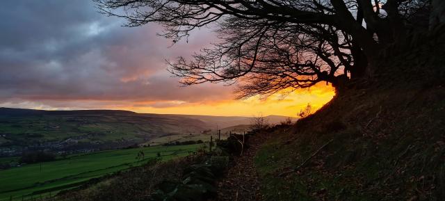 A photo of a sunset over a rural valley. A path denoted by brown fallen leaves leads away from the camera next to a low stone wall. The path runs under an old tree, the branches of which stretch across the top of the picture, in silhouette against the light. The sunset is caught neatly under a curve of a thicker tree branch and glows gold there but spreads out across the top of a dark, distant hill.