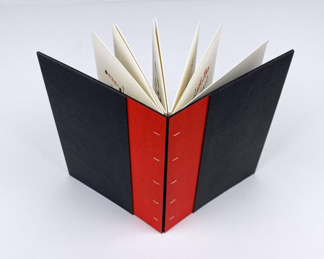 View of the same manuscript standing up, seen from the back to show the red and black cover