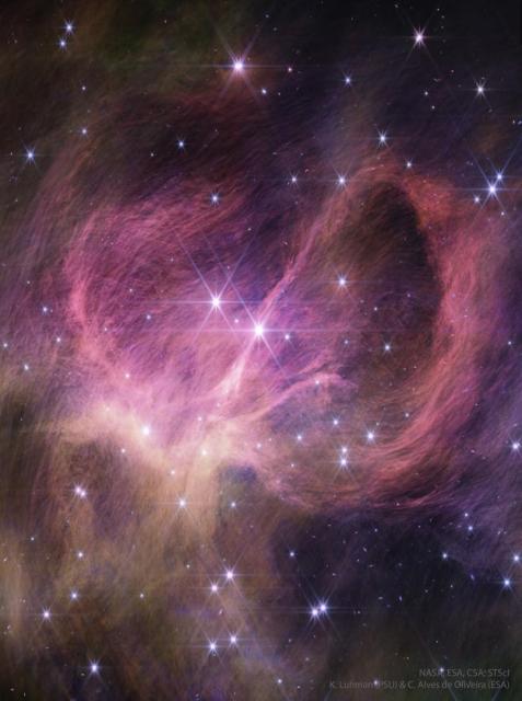 A cluster of stars is shown along with surrounding nebular gas a and dust. Shown in infrared light in pink, the dust winds around the nebula center and itself appears composed of many finer filaments.