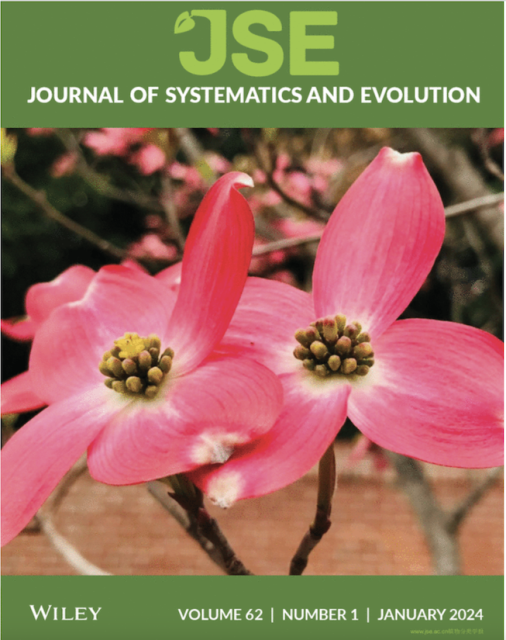 Front cover of this current issue of JSE. "Cornus florida L. ‘Cherokee brave’, a red-bracted cultivar of the flowering dogwood tree Cornus florida L., a North American species of the Benthamidia clade of Cornus L." The tree flowers have 4 creamy red bracts each.