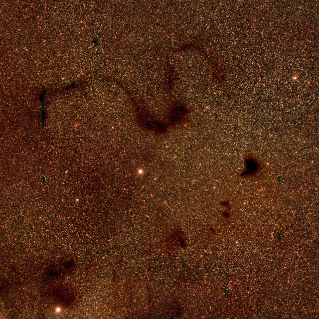 Barnard 72 (Snake Nebula), Barnard 68, etc...

Meli thev, CC BY 4.0, via Wikimedia Commons.