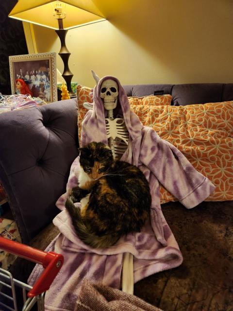 Tortoiseshell cat sitting on a skeleton wearing a pink unicorn robe