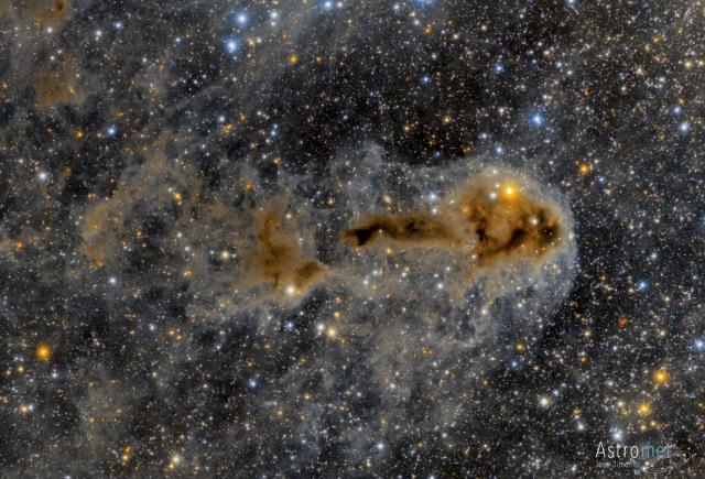 Lynd Dark Nebula 1251.

José Jiménez, CC BY 2.0, via Wikimedia Commons or Flickr: https://flic.kr/p/H4RGAn