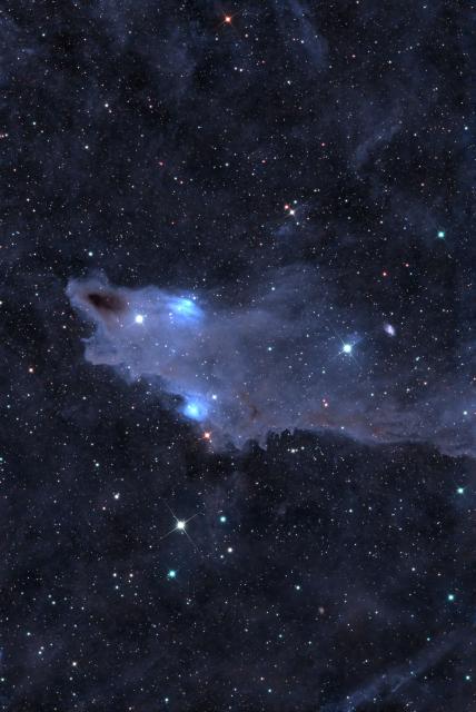 LDN 1235, aka the "Shark Nebula."

Stephen Andrew Kennedy of Strawn, Texas, CC BY-SA 4.0, via Wikimedia Commons.
