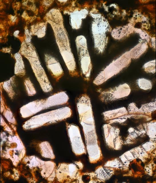 Selma Meteorite Thin Section Individual Microphotograph.

Solar Anamnesis, CC BY-NC-ND 2.0 via Flickr: https://flic.kr/p/TjdHtu
