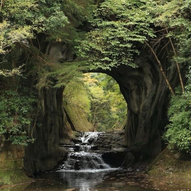 A river flows through an archway of lush green trees 