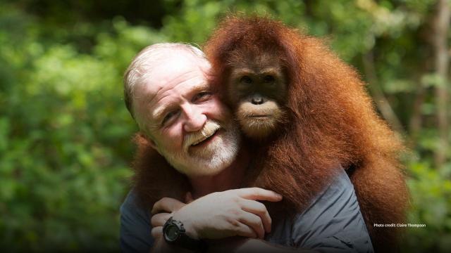 George McGavin hugs a beautiful young orangutan 

‘I don’t believe #palmoil can ever be #sustainable. There is an enormous amount of #greenwashing around this issue. I support the #Boycottpalmoil #Boycott4Wildlife movement’ @BBC presenter/entomologist Dr George McGavin #entomology https://palmoildetectives.com/2021/10/18/entomologist-academic-tv-presenter-dr-george-mcgavin-in-his-own-words/ via @palmoildetectives 
