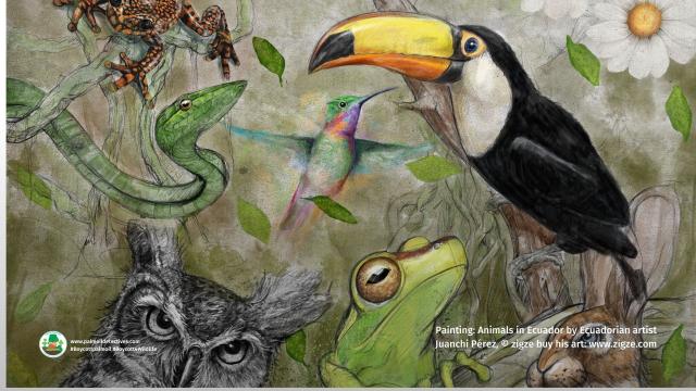 A beautiful assortment of Amazonian rainforest animals painted by Juanchi 

Juanchi Pérez is a #vegan #animalrights advocate and #wildlife artist who paints species of #Peru #Ecuador in his exquisite art. He discusses why #animals should matter more to us all than #greed @ZIGZE #Boycottpalmoil #Boycott4Wildlife https://palmoildetectives.com/2023/08/27/wildlife-artist-and-animal-rights-advocate-juanchi-perez-in-his-own-words/ via @palmoildetect
