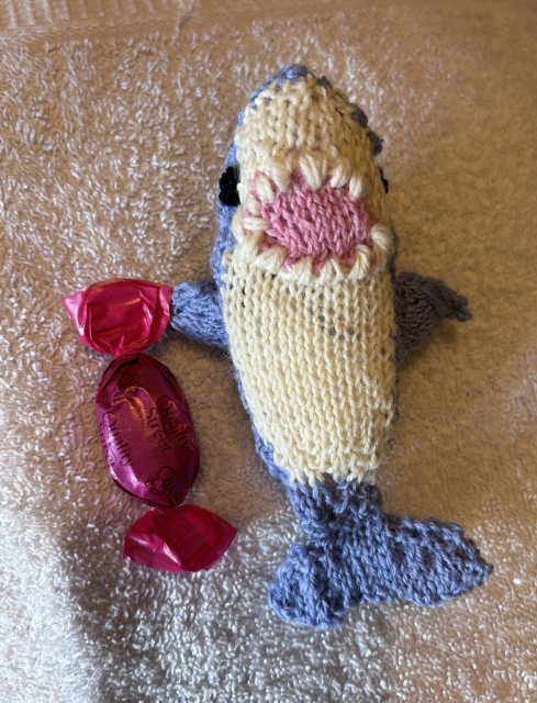 Same knitted shark but this time it is lengthwise 
