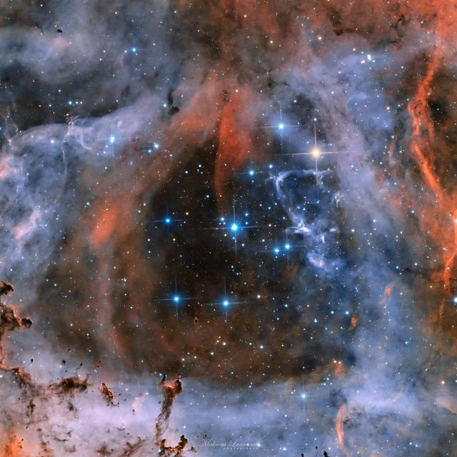 "NGC 2239 Rosette Nebula."

Makrem Larnaout, CC BY-SA 4.0, via Wikimedia Commons.