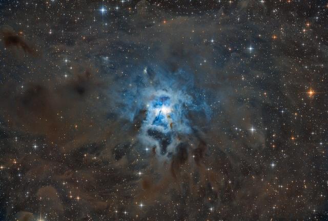 "Iris Nebula - NGC 7023."

Andreigusan, CC BY-SA 4.0, via Wikimedia Commons.